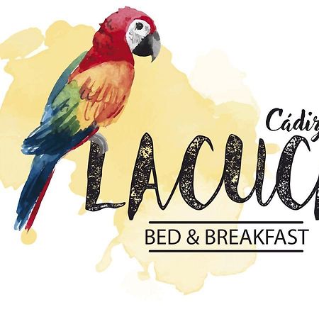 La Cuca Bed & Breakfast 카디스 외부 사진